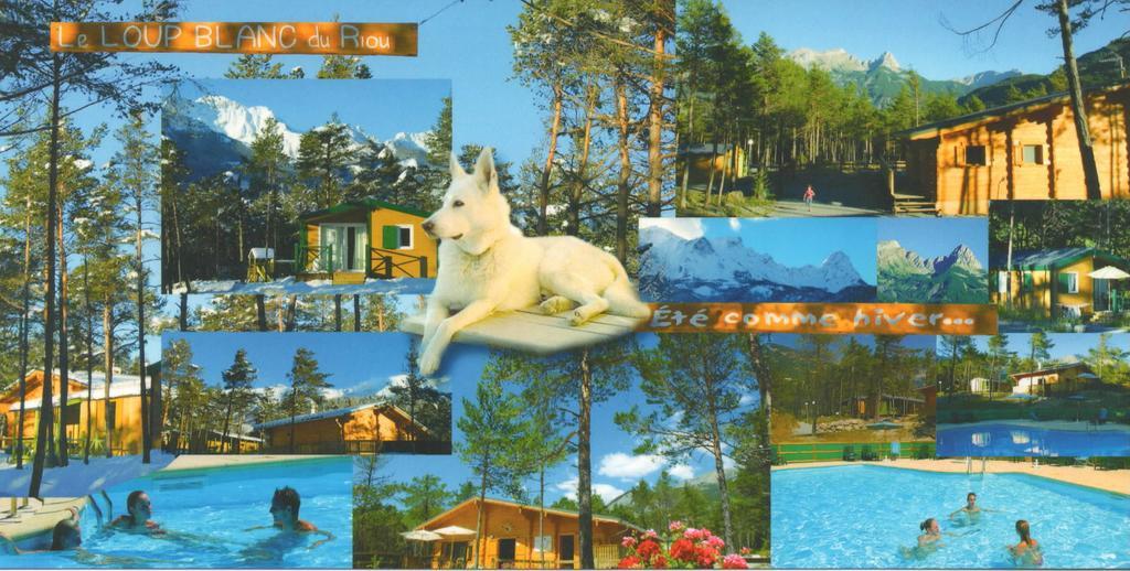 Parc Residentiel De Loisir : Le Loup Blanc Du Riou Otel Barcelonnette Dış mekan fotoğraf